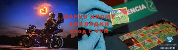 apvp Алзамай
