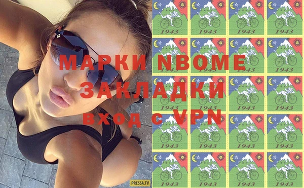 apvp Алзамай