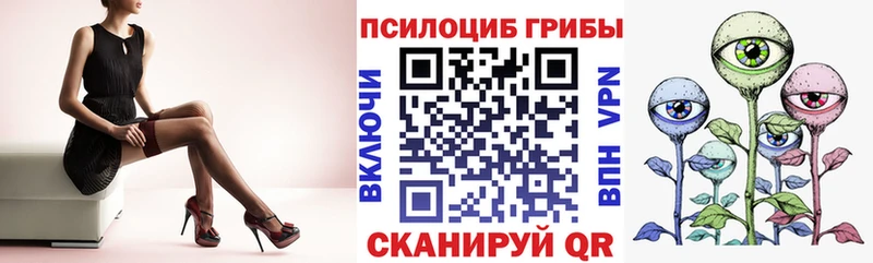 kraken ТОР  Кимовск  Псилоцибиновые грибы Psilocybe  где купить наркоту 