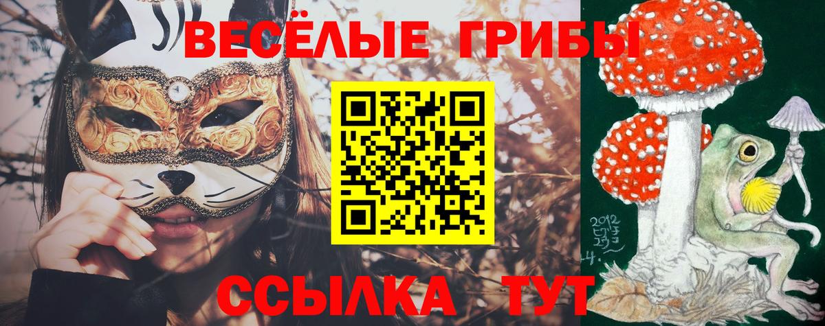 Псилоцибиновые грибы Cubensis  Вход с VPN  магазин продажи наркотиков  Кимовск 
